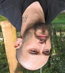 nicoletto